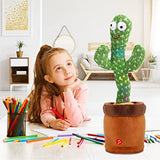 Dancing Cactus toy Electric