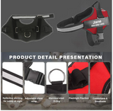 Personalized Dog Harness
