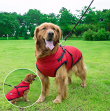Large Pet Dog Jacket With Harness