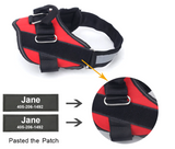 Personalized Dog Harness