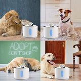 Water Fountain pets Drink
