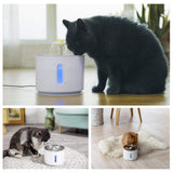 Water Fountain pets Drink