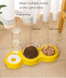 Pets Food Bowl With Water Fountain
