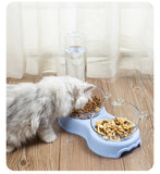 Pets Food Bowl With Water Fountain