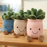 Succulent Plants Plush Stuffed