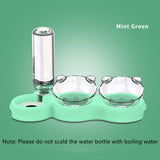 Pets Food Bowl With Water Fountain