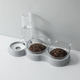 Pets Food Bowl With Water Fountain