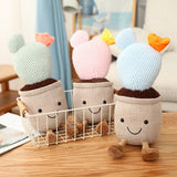 Succulent Plants Plush Stuffed